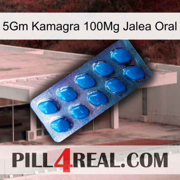 5Gm Kamagra 100Mg Oral Jelly viagra1.jpg